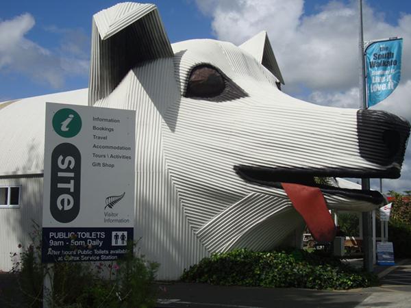 animal inspired buildings and unusual architectural photography ideas